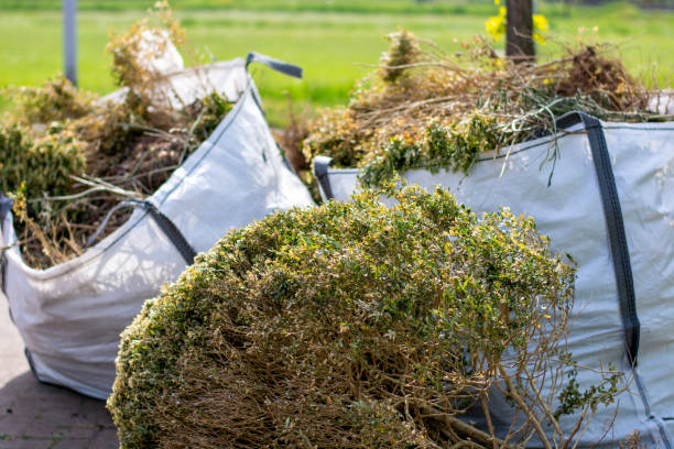 Best Affordable Junk Removal Services  in Hooks, TX